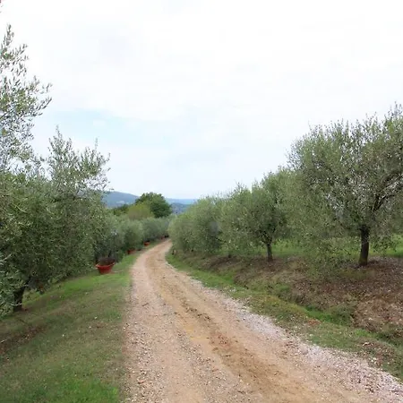 Casa Bella * Torrita di Siena